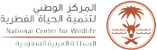 Client Logo 20